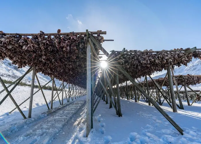 Chalet The Blacksmith's Place - Cozy Rorbu In Lofoten *